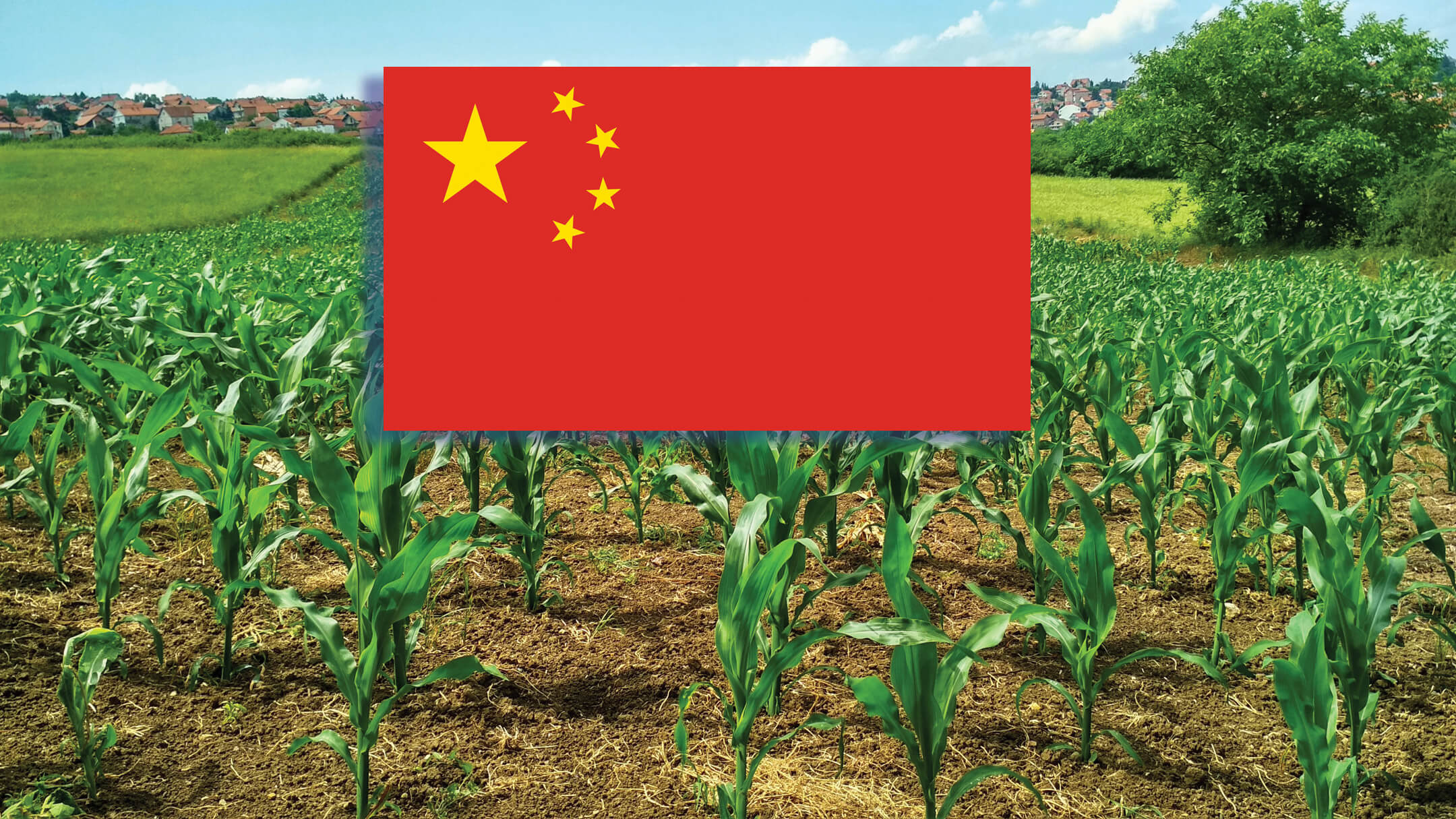 china farmland