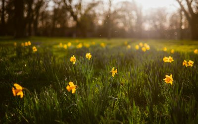 Early Spring Adventures in New York