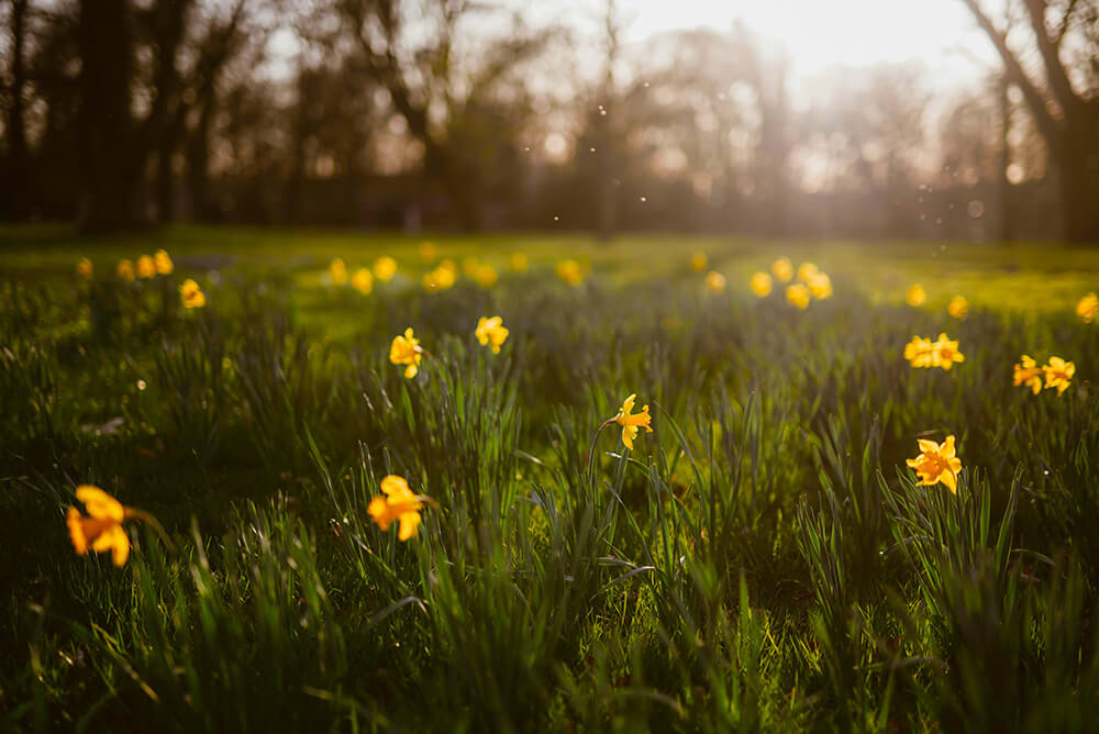 Early Spring Adventures in New York