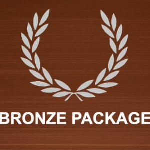 bronze sponsor package