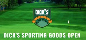 dicks golf