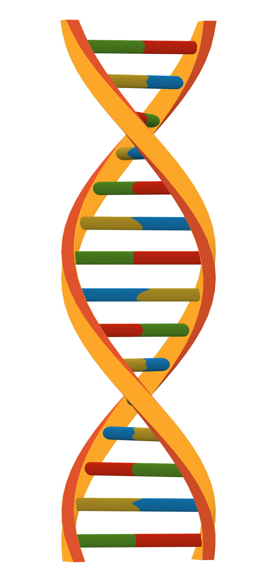 dna dna-9144395_1920 dna - As medical breakthroughs are driven by genetic science, New Yorkers are unknowingly vulnerable to a dangerous loophole in state and federal law.