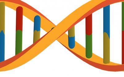 NEW YORKERS AT RISK: Genetic Privacy Protections