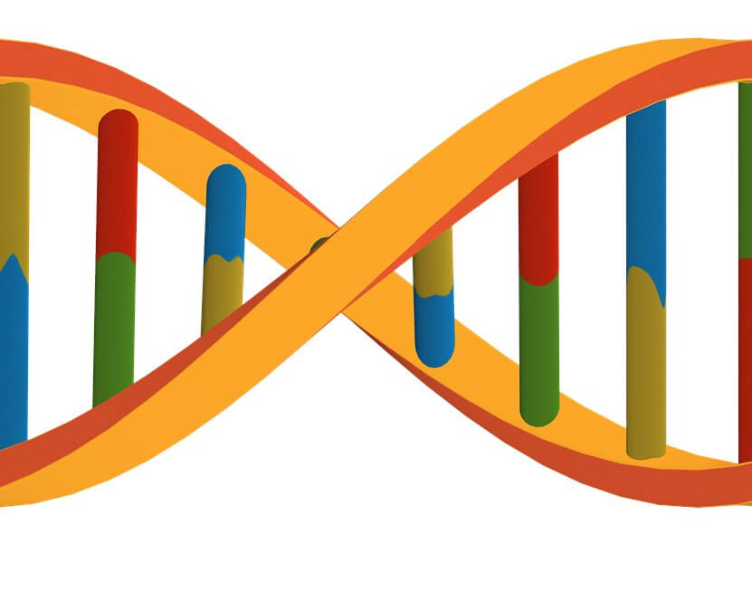 NEW YORKERS AT RISK: Genetic Privacy Protections