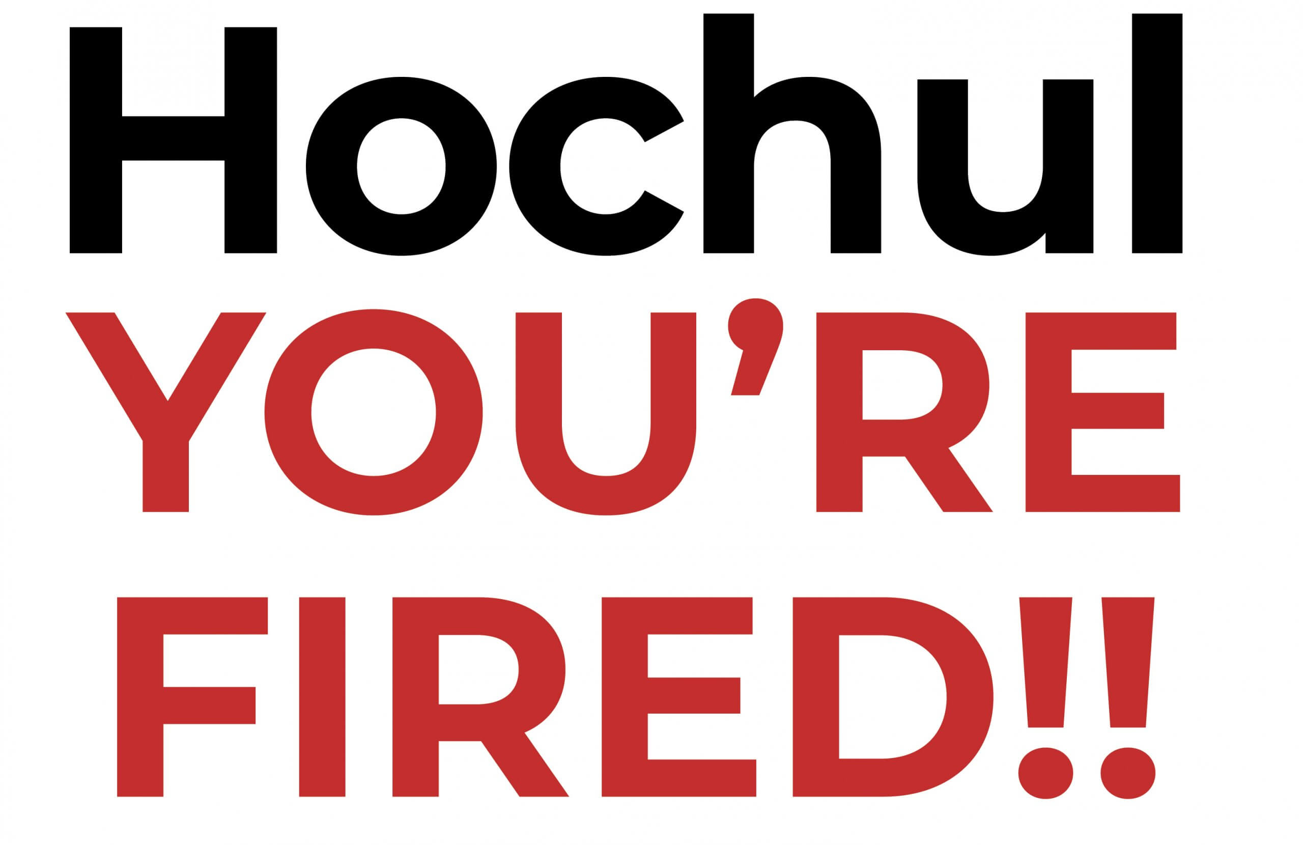 the popular Hochul You're fired mug