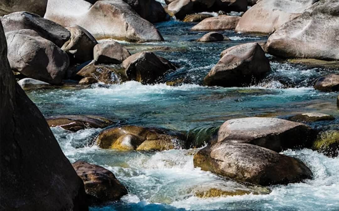 Poisons in the River