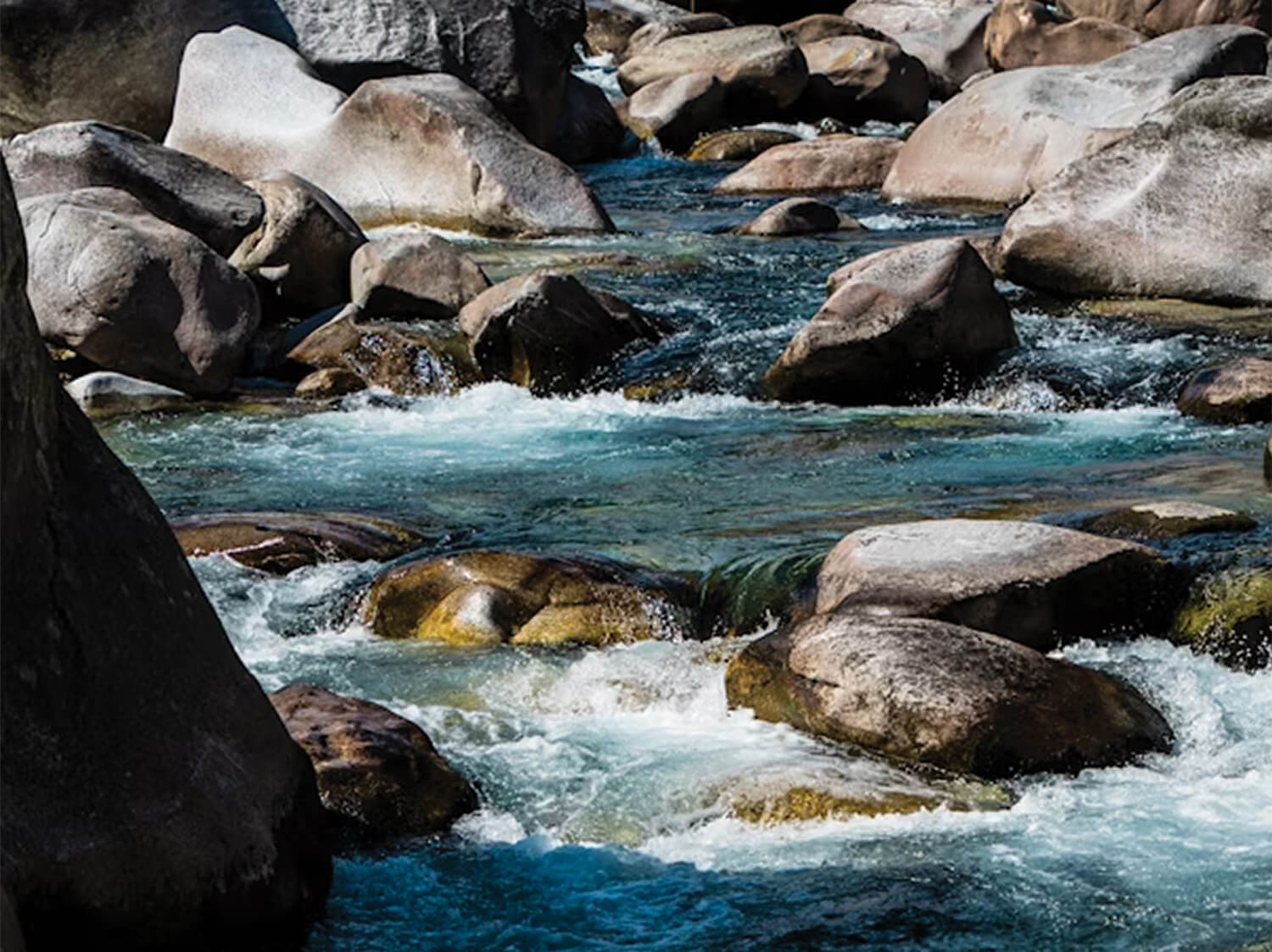 poison in the rivers Poison in the Rivers