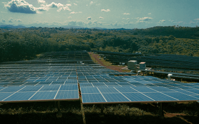 Pseudo-Science is killing our enviroment