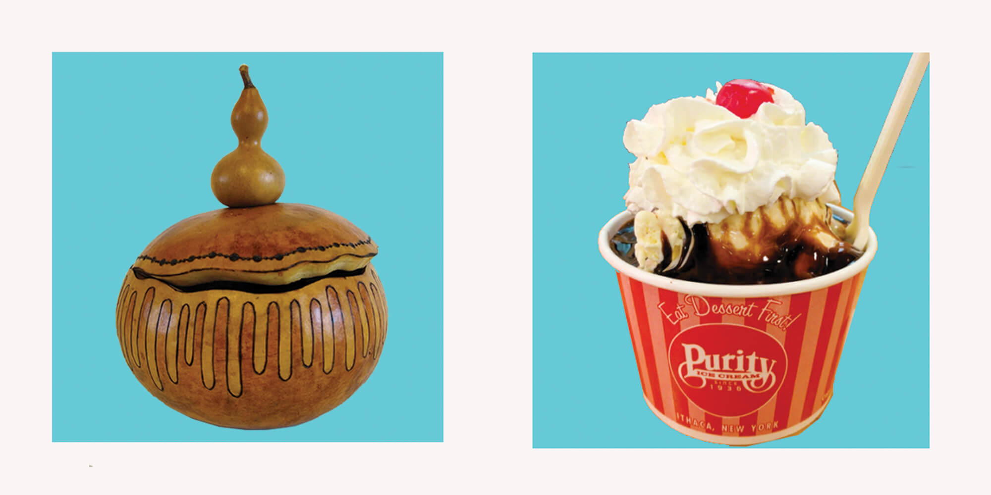 web -gourdlandia and purity ice cream gourdlandia and purity ice cream
