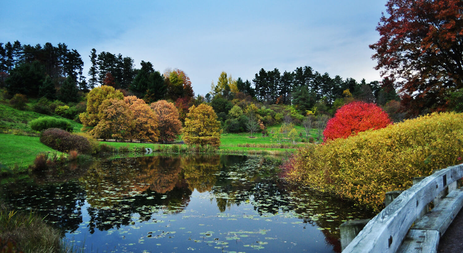 web- photo by Oliver Kliewe - Cornell_Plantations_lake Oliver Kliewe - https://www.flickr.com/photos/53855395@N04/5399411577/sizes/l/in/photostream/